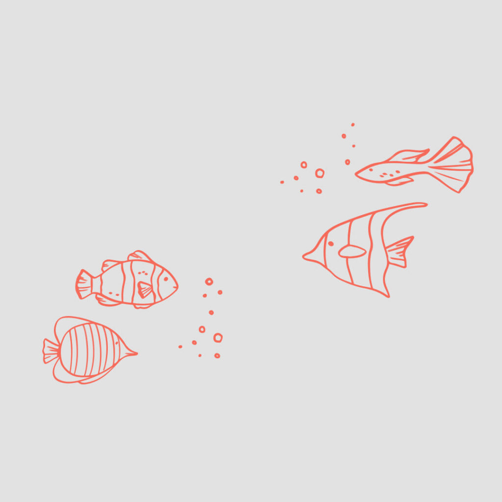 Кейс: привлекли более 10 000 подписчиков по 0,3$ для интернет-магазина морепродуктов