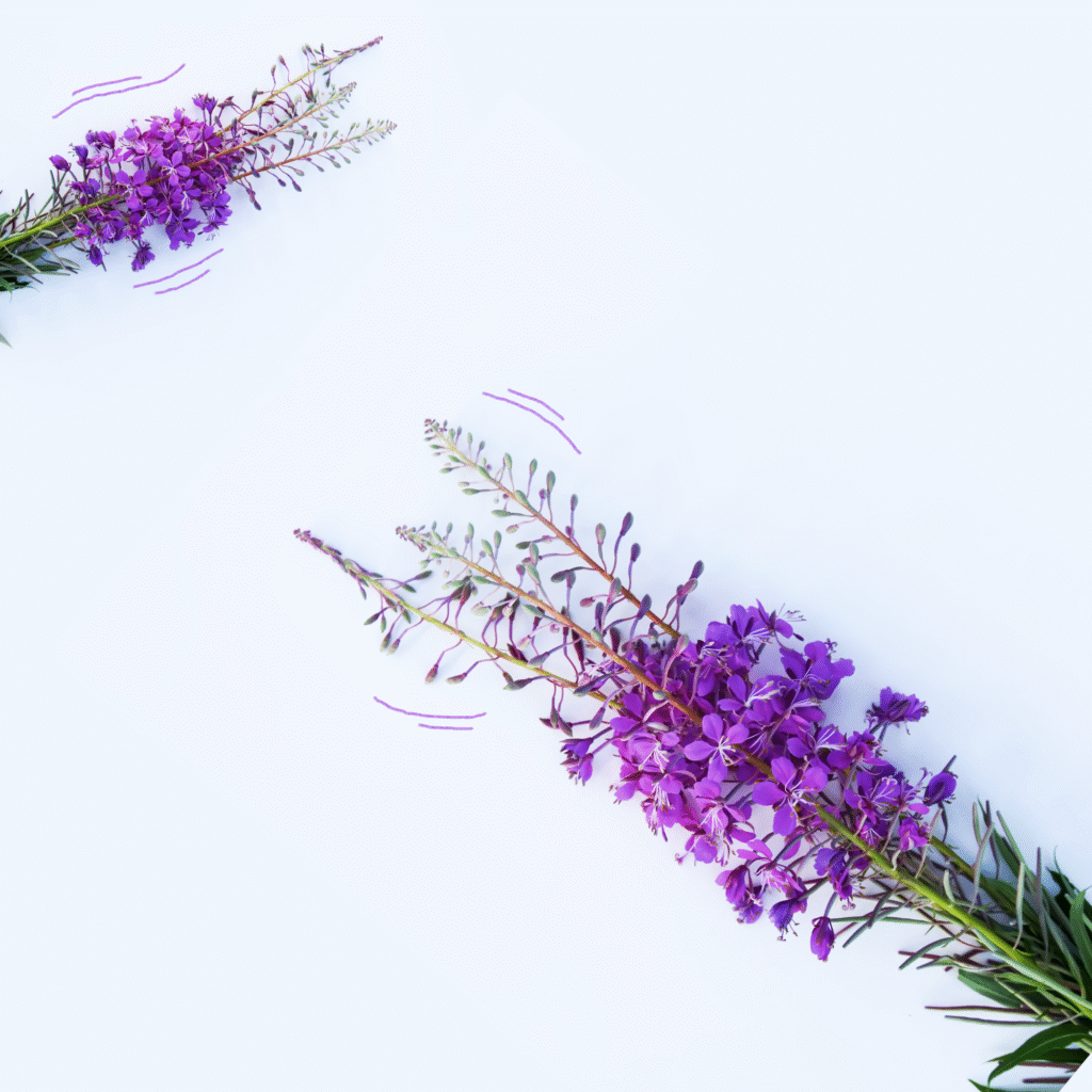 Обновления июля