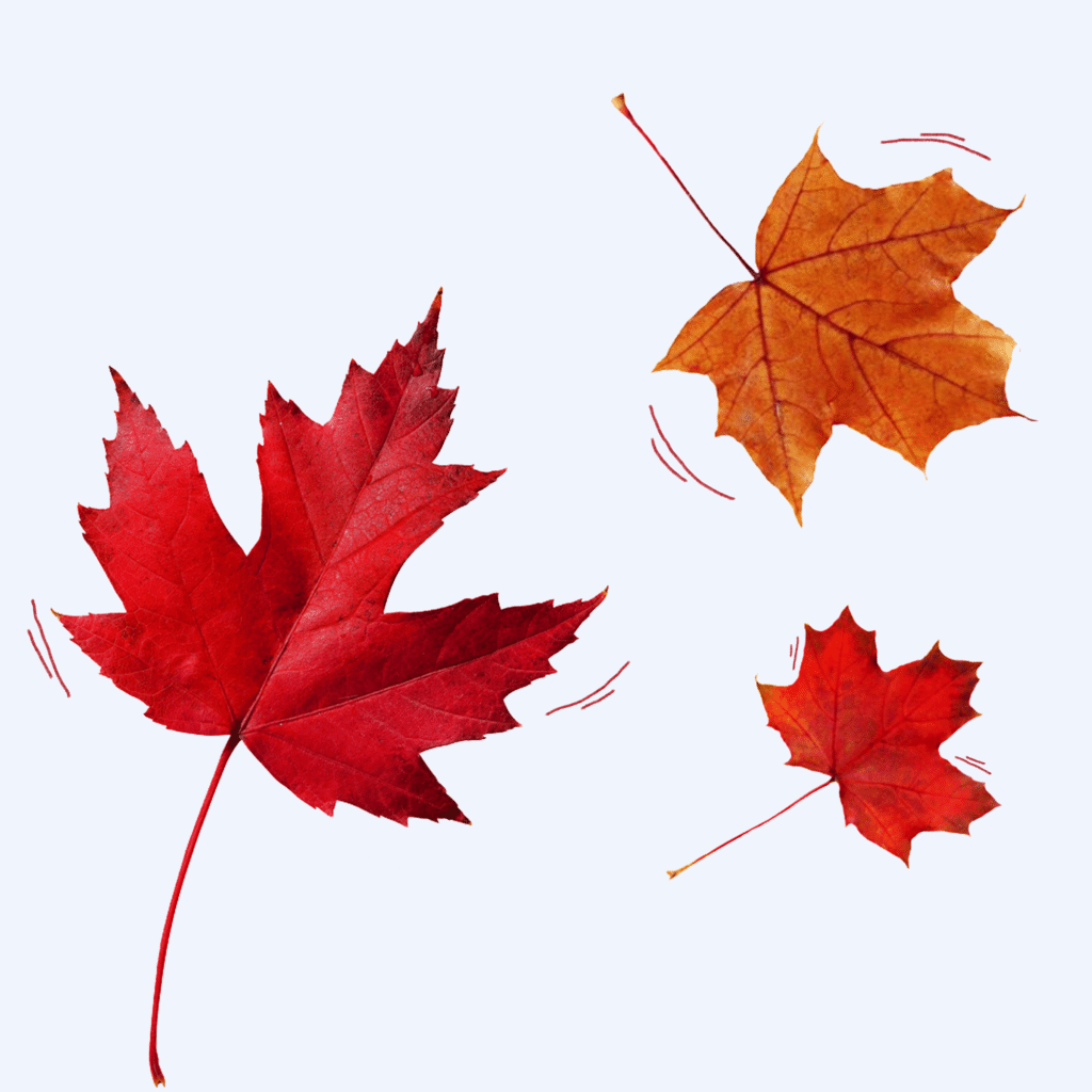 Обновления сентября