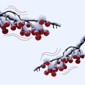 Обновления ноября