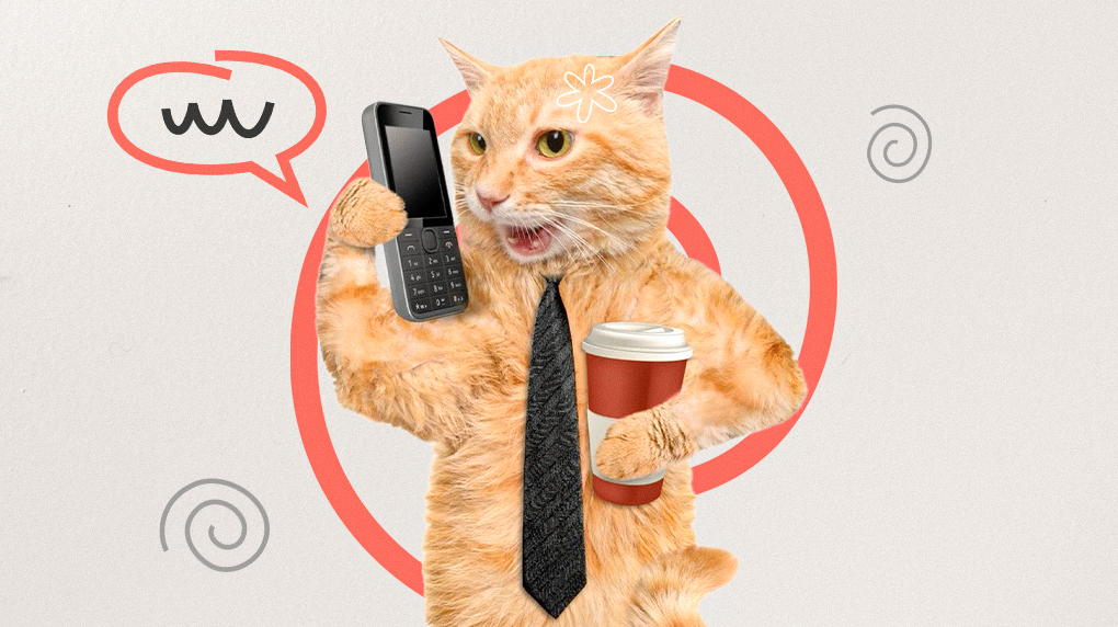 Схема автоворонки и чат-ботов для коучей, наставников и онлайн-экспертов